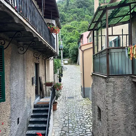 בית הארחה Zuccarellodreams 4*