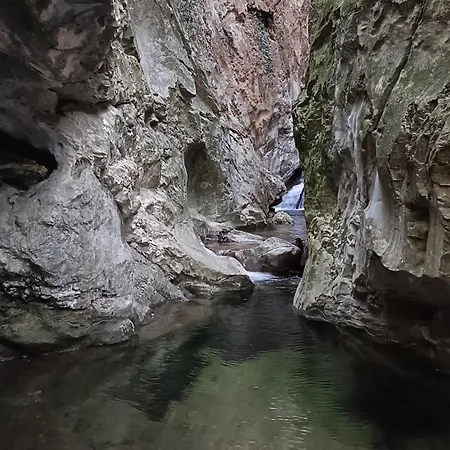 Zuccarellodreams בית הארחה 4*