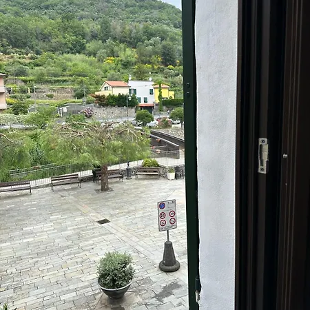 Zuccarellodreams Zuccarello