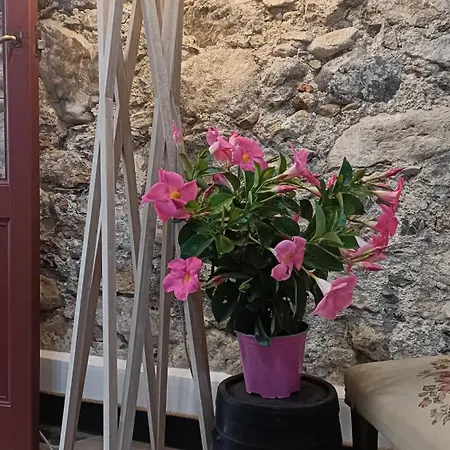 בית הארחה Zuccarellodreams