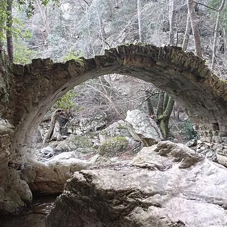 בית הארחה Zuccarellodreams 4*