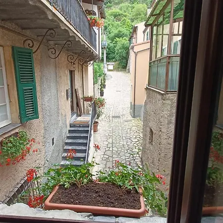 Pensionat Zuccarellodreams Zuccarello