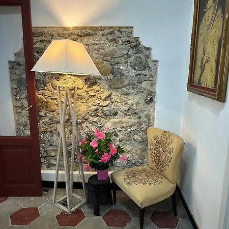 Zuccarellodreams Zuccarello