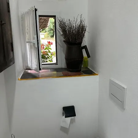 Zuccarellodreams Zuccarello