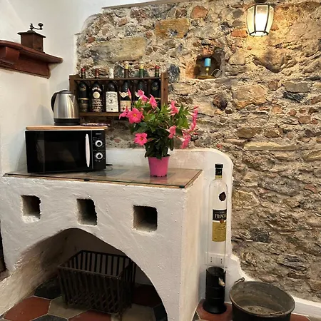 Zuccarellodreams 4* Zuccarello