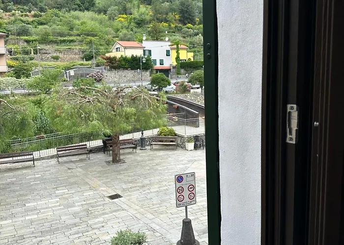 Zuccarellodreams Zuccarello