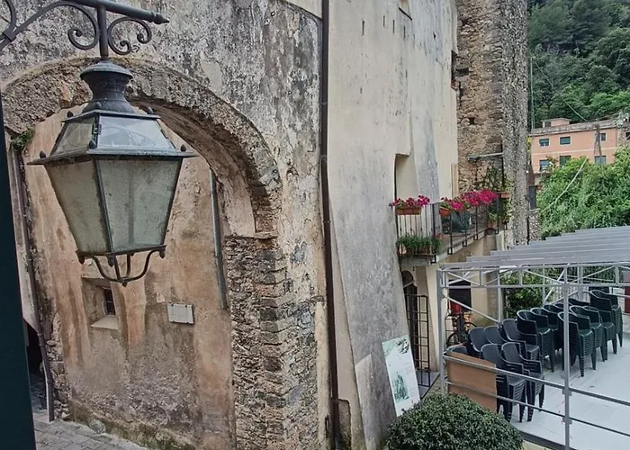 Zuccarellodreams 4* Zuccarello