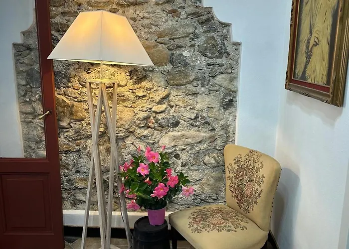 Zuccarellodreams Zuccarello