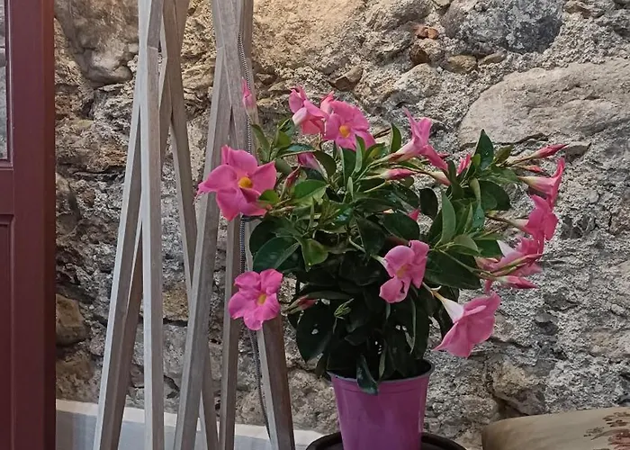 Affittacamere Zuccarellodreams