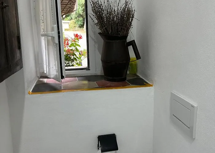 Zuccarellodreams Zuccarello