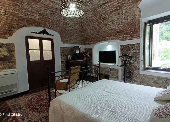 Zuccarellodreams Zuccarello