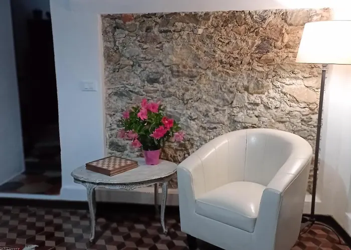 Zuccarellodreams 4* Zuccarello