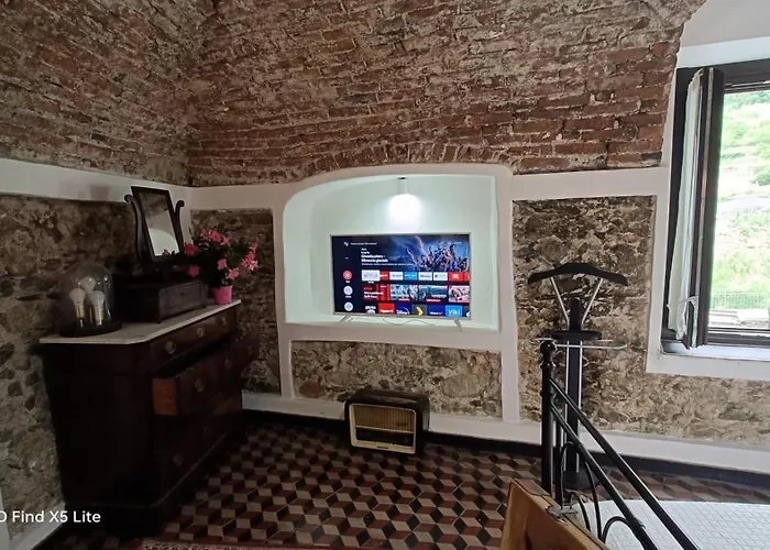 Zuccarellodreams 4* Zuccarello